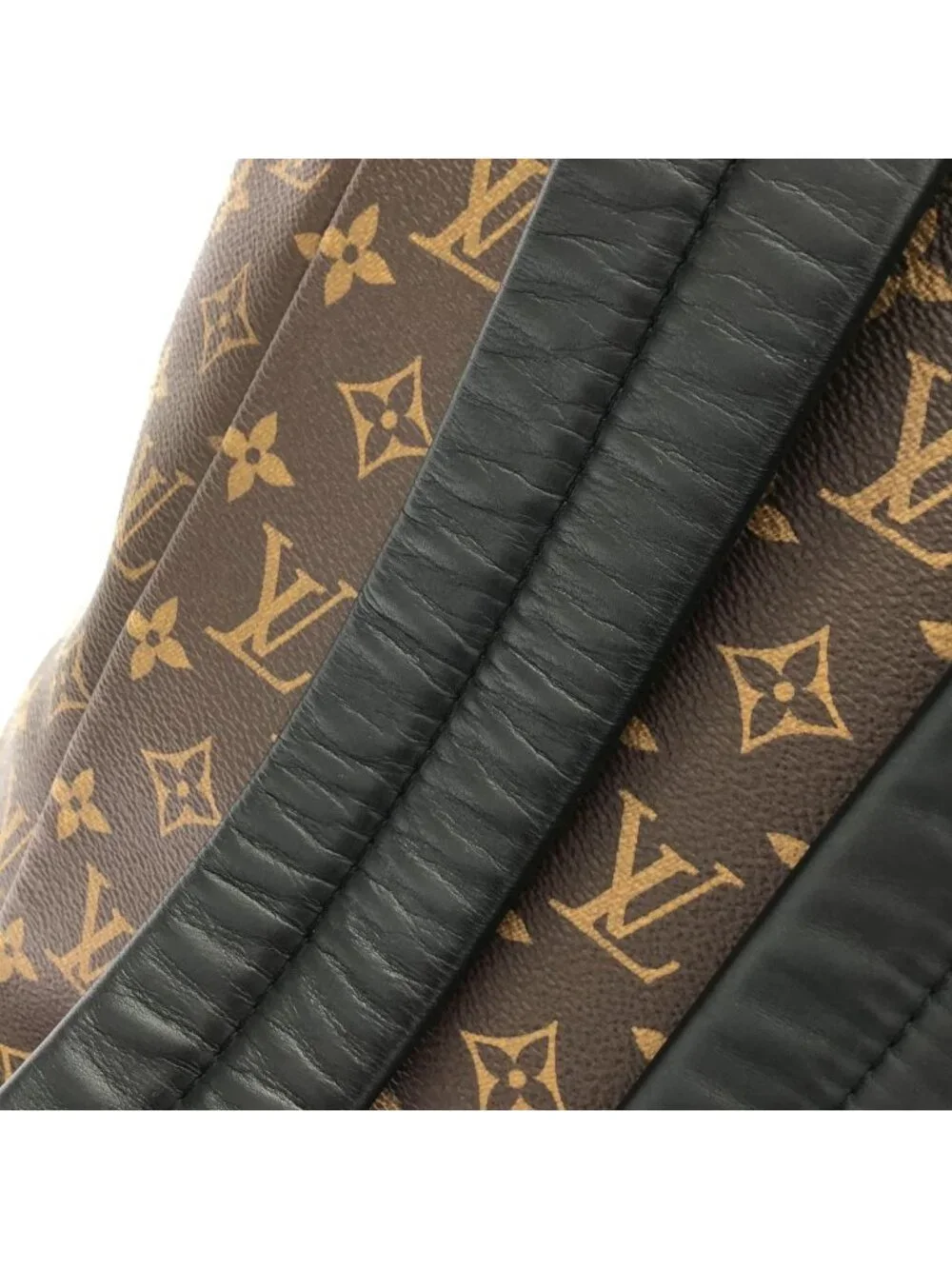 Louis Vuitton Monogram Macassar Zack Backpack